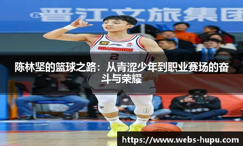 虎扑体育nba